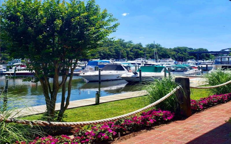 A Day at the Marina Dining, Relaxing, and Scenic Views in Woodbridge