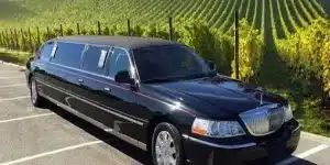 The Ultimate Limo Service Guide for a San Diego Wine Country Tour