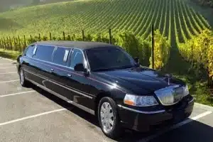 The Ultimate Limo Service Guide for a San Diego Wine Country Tour