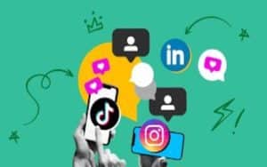 Why Social Media Marketers Rely on Subscriberz for Growth