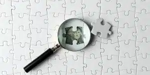 The Profit Puzzle: Decoding the Benefits and Structure of Sharing Success