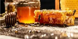 Start Your Beekeeping Journey With the Right Supplies and Nucleus Hives