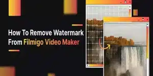 The Definitive Guide To Watermark Removers For Videos