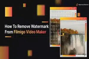 The Definitive Guide To Watermark Removers For Videos