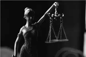 The Legal Process for Property Damage Claims in New Port Richey: A Detailed Guide