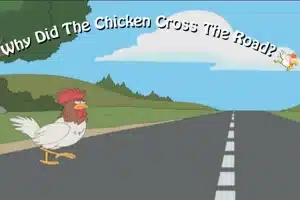 Why Did the Chicken Cross the Road? A New Look at Crash Games