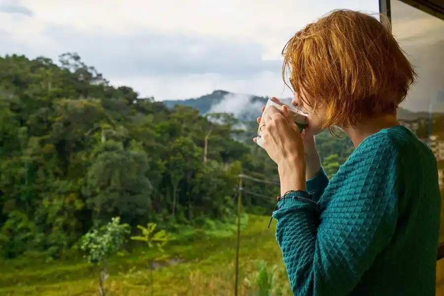 Exploring Natural Wellness Alternatives for Stress Relief