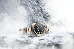 Discover the Luxury of Rolex Explorer Timepieces in Singapore