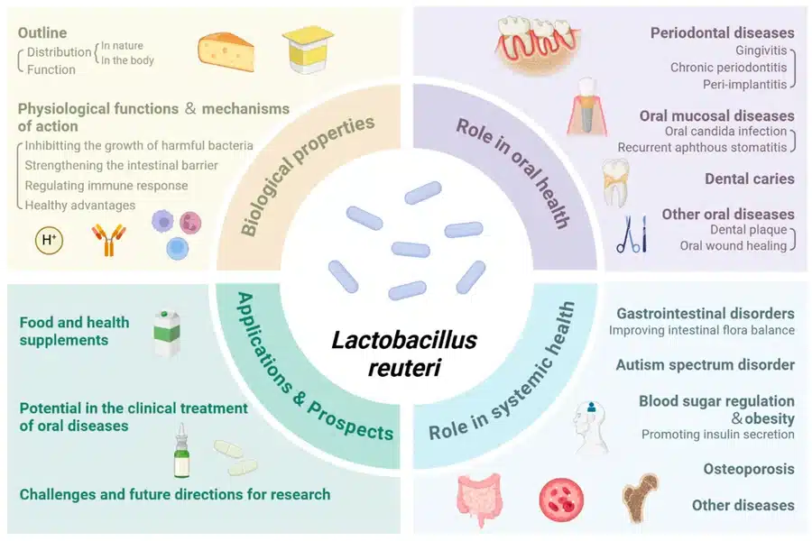 Lactobacillus Jensenii