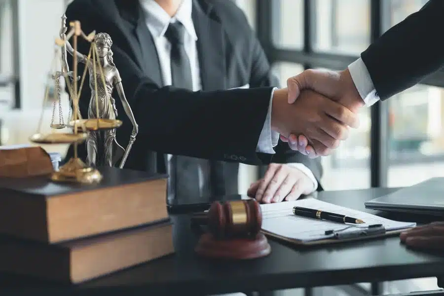 Criminal Lawyer