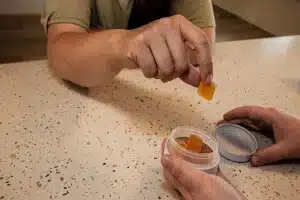 Hemp Gummies vs. CBD Gummies: Which One is Right for You?