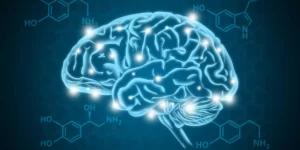Social Media Fame and Dopamine Dependency