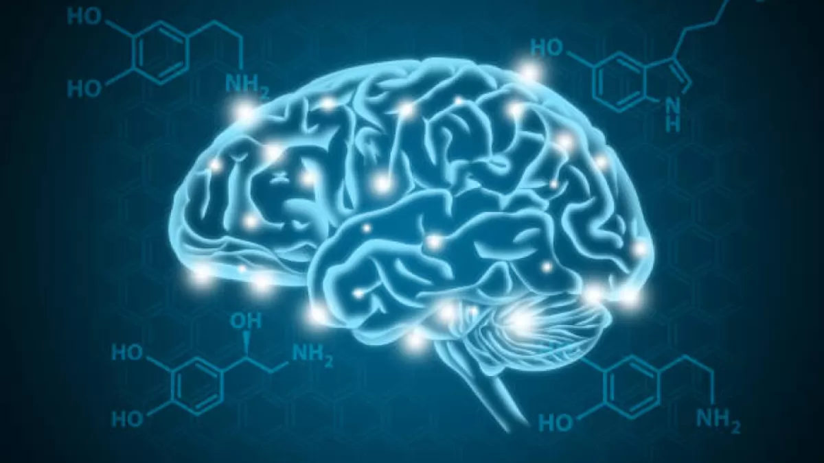 Dopamine Dependency