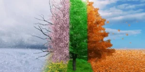 Essentials Change With Seasons of Life
