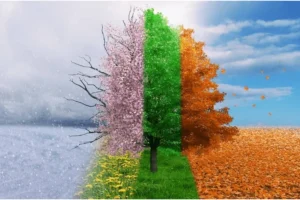 Essentials Change With Seasons of Life