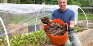 Best Ways to Choose and Use Mulch for a Healthy Garden