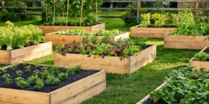 How to Build a Raised Bed Garden From Scratch
