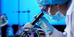 How Is Recombinant Human GDF15 Protein Produced For Research? 