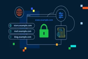 Cheap Wildcard SSL: How to Get Solid Security Without the High Price Tag