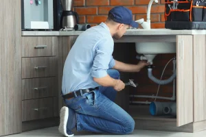 5 Ways Professional Plumbing Services Can Make Home Maintenance Easier