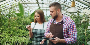 The Business Of Growing: What Modern Agriculture Gets Right