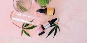 Why CBD Businesses Are Booming: Exploring the Rise in Popularity