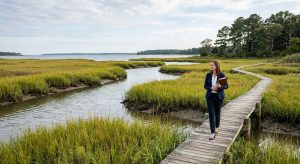 What to expect the first time you deal with wetland permitting